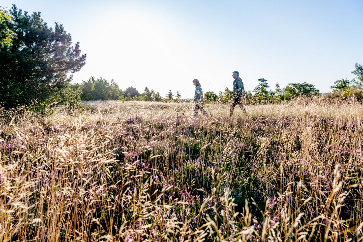 People hiking through field in Himmerland