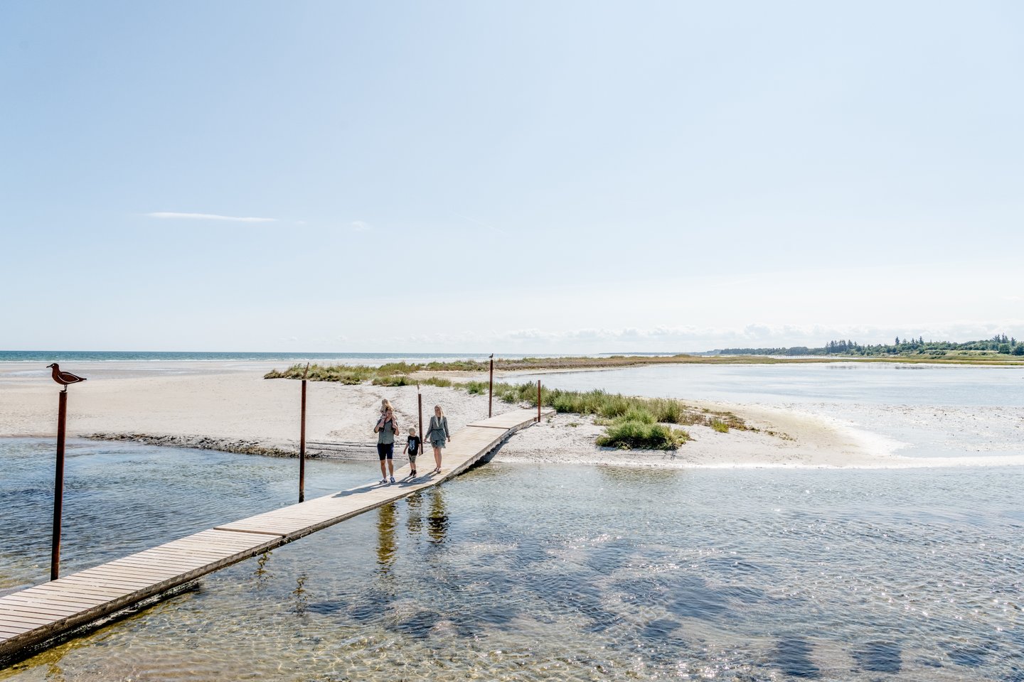 Himmerland walking path through the fjord.