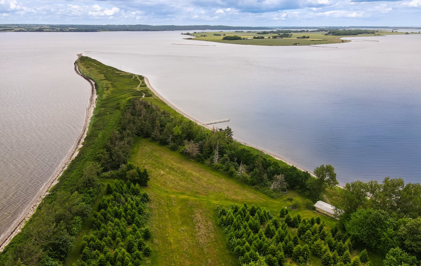 Borre Knob Horsens Fjord at the Coastal Land on Jutland in Denmark