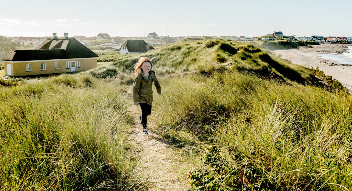 Summer houses at the coast of Klitmøller 