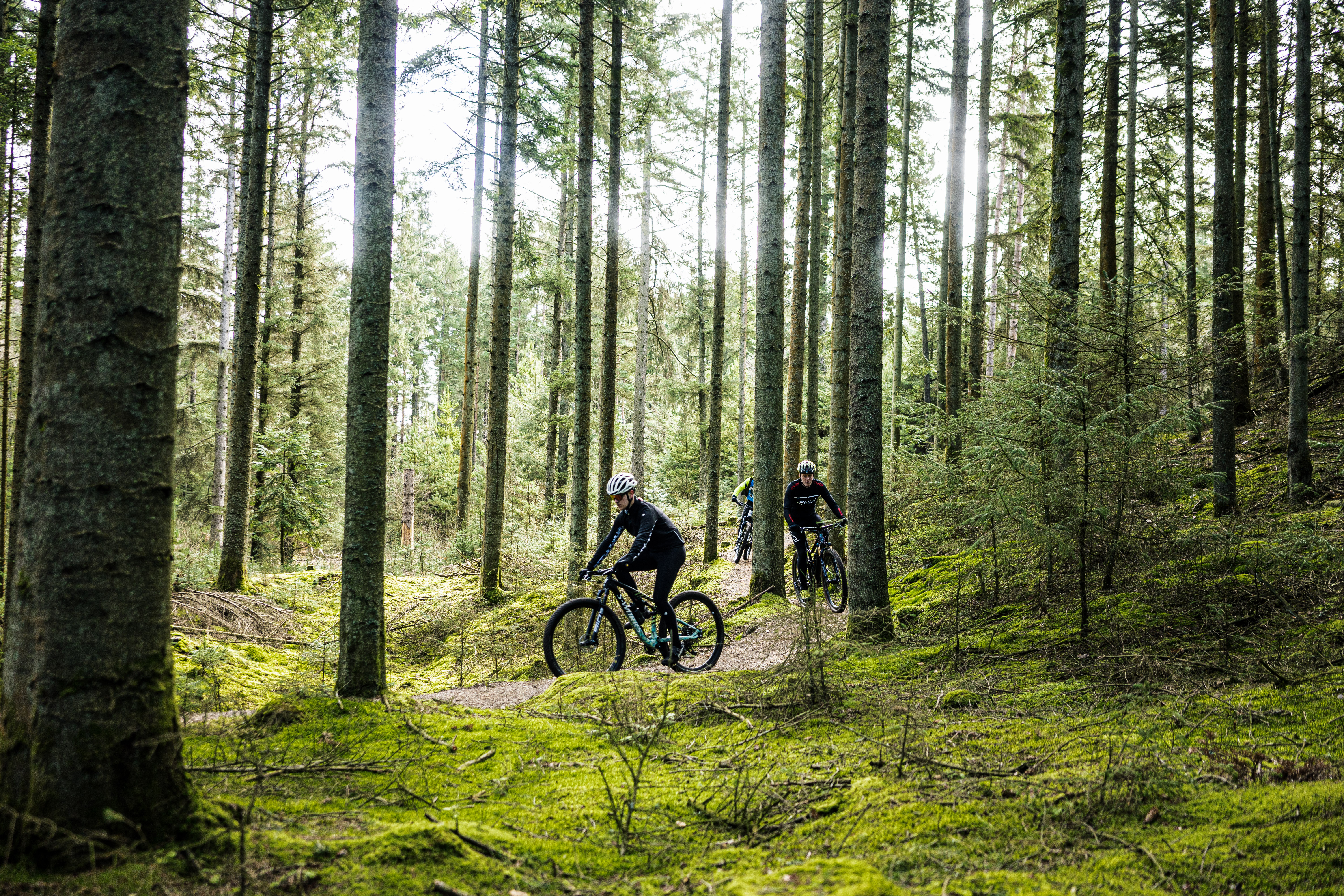 Bild von zwei Radfahrern in dem Wald Blåbjerg Plantage