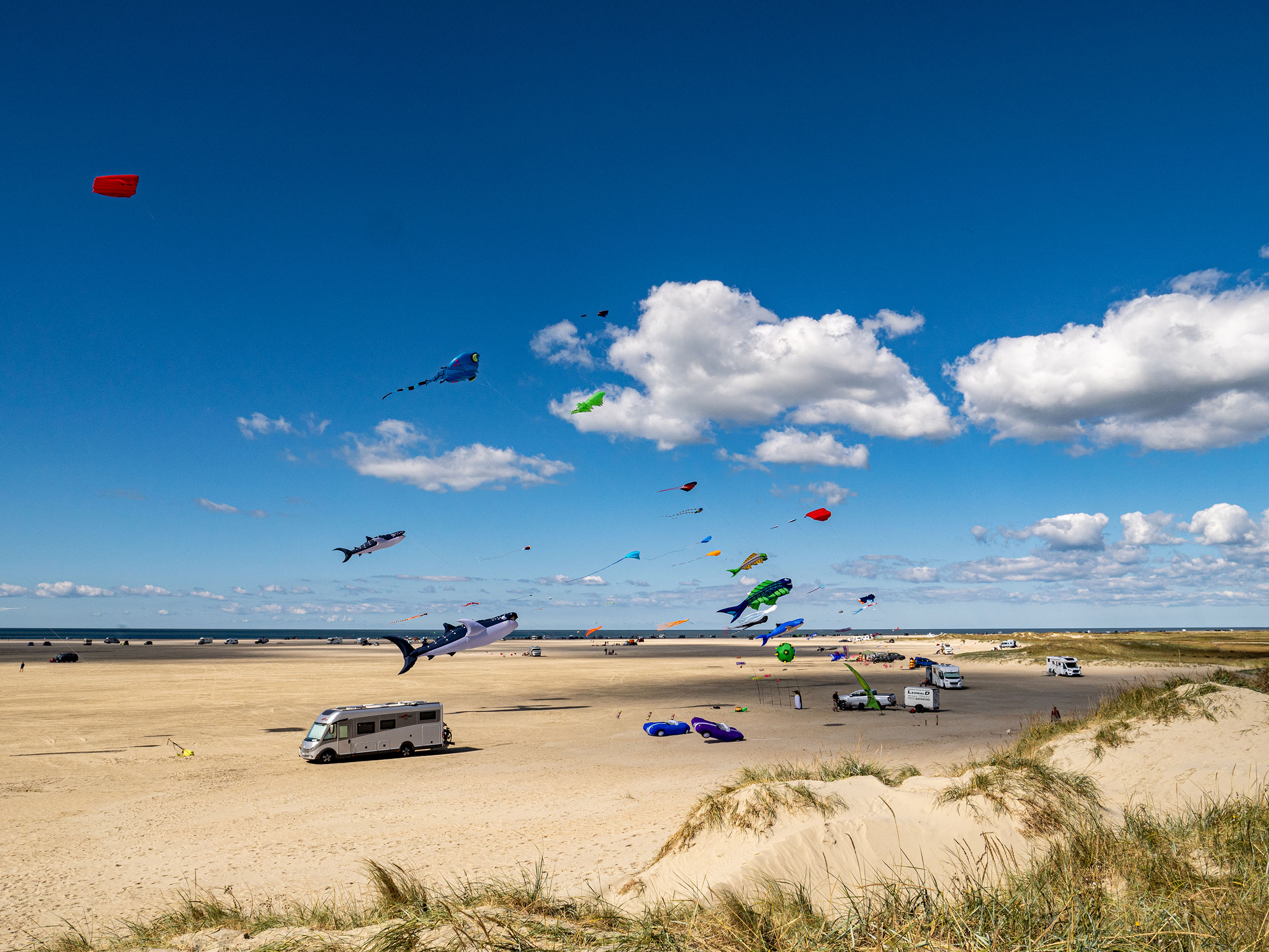 Bild von vielen bunten Drachen auf dem Strand von Rømø