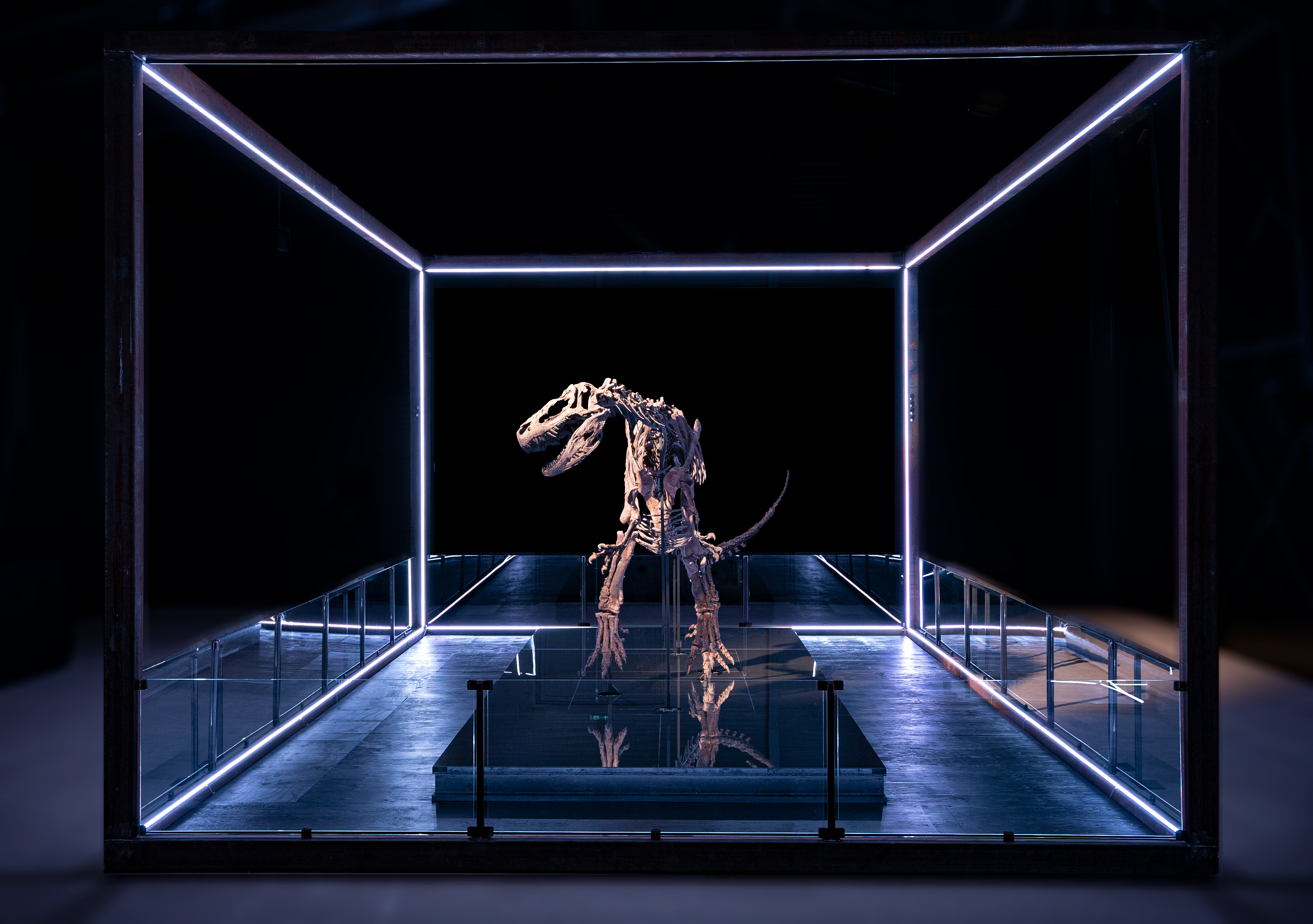 Bild vom Dinosaurier-Skelett im neuen Evolutionsmuseum