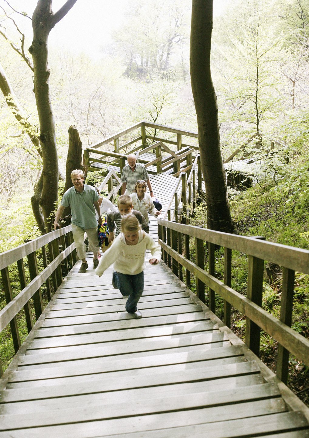 Via een lange trap bereik je de Møns Klint krijtrotsen in Denemarken
