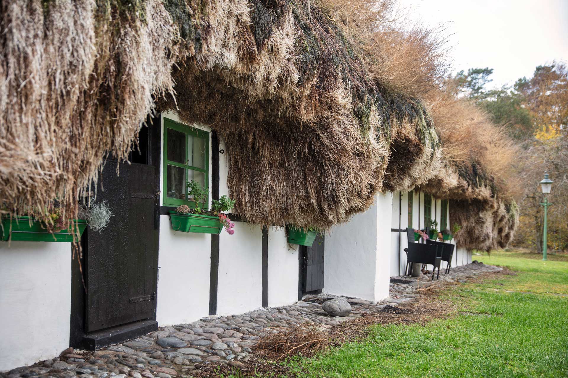 A house with a roof made of seaweed