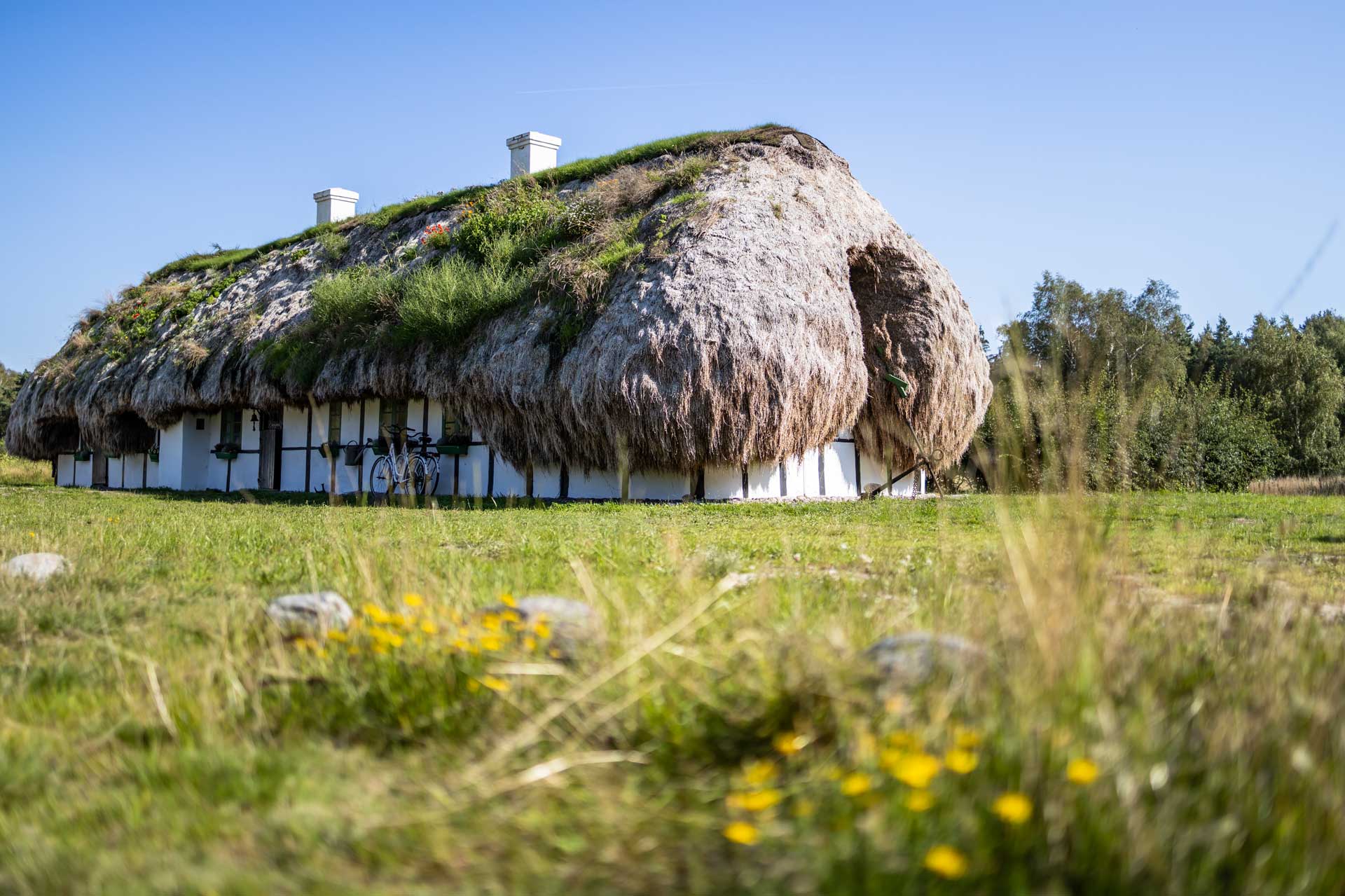 House on Læsø with a roof made of seaweed
