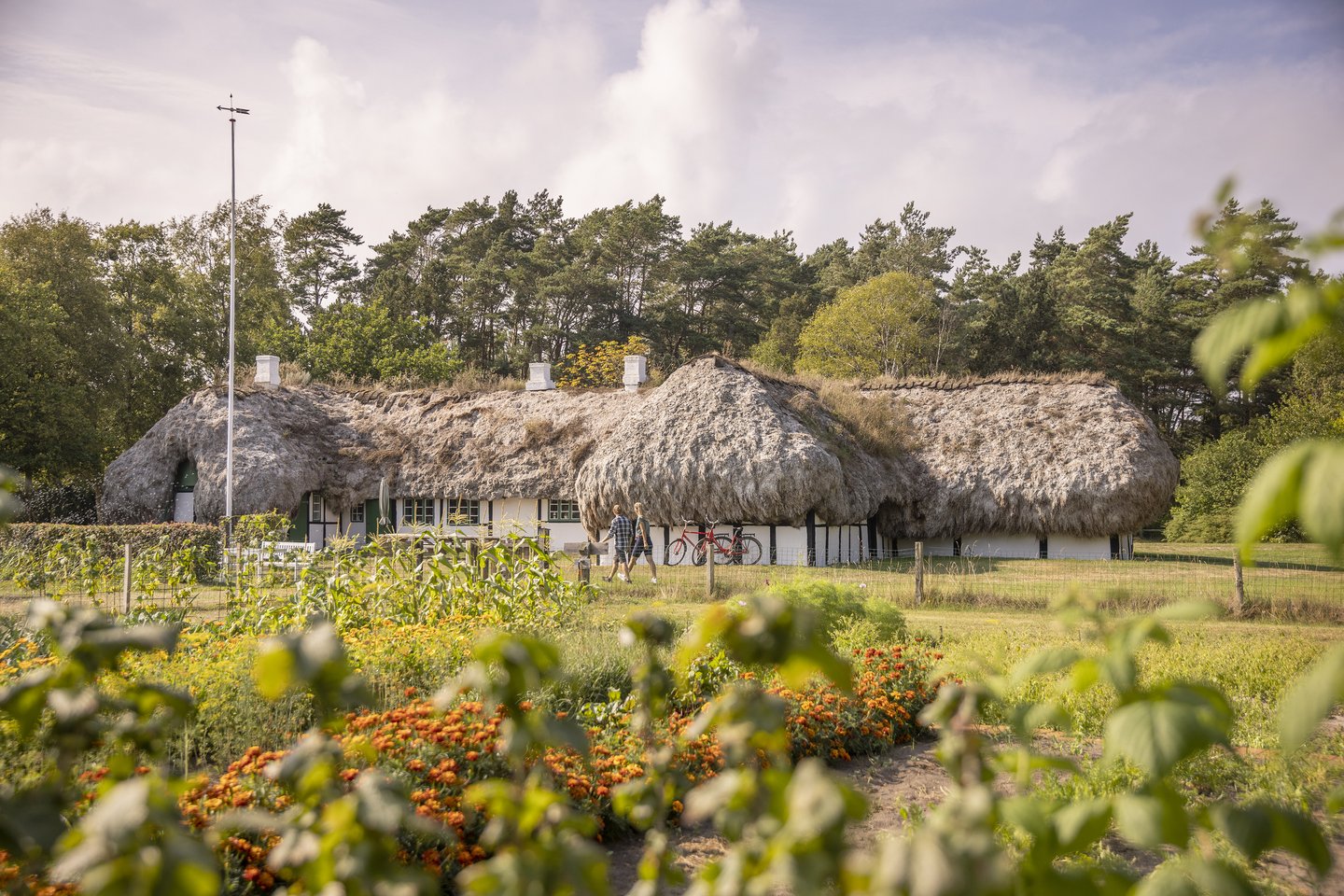 Wandelaars passeren een traditioneel huis op Læsø met een zeewierdak