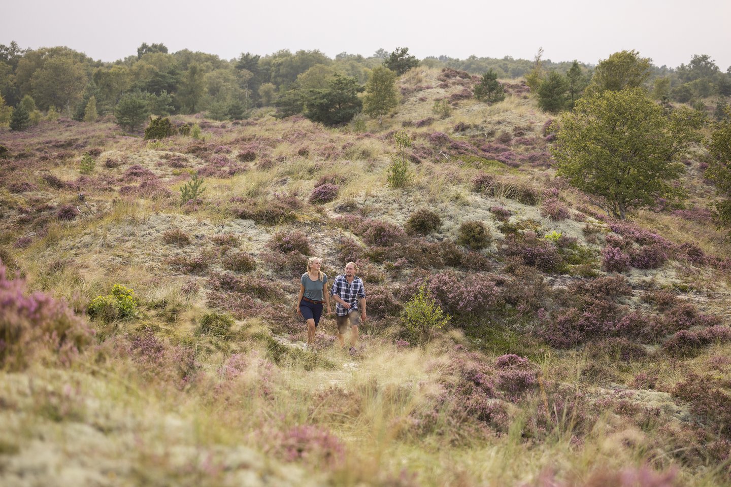 Wandelaars in Noord-Jutland