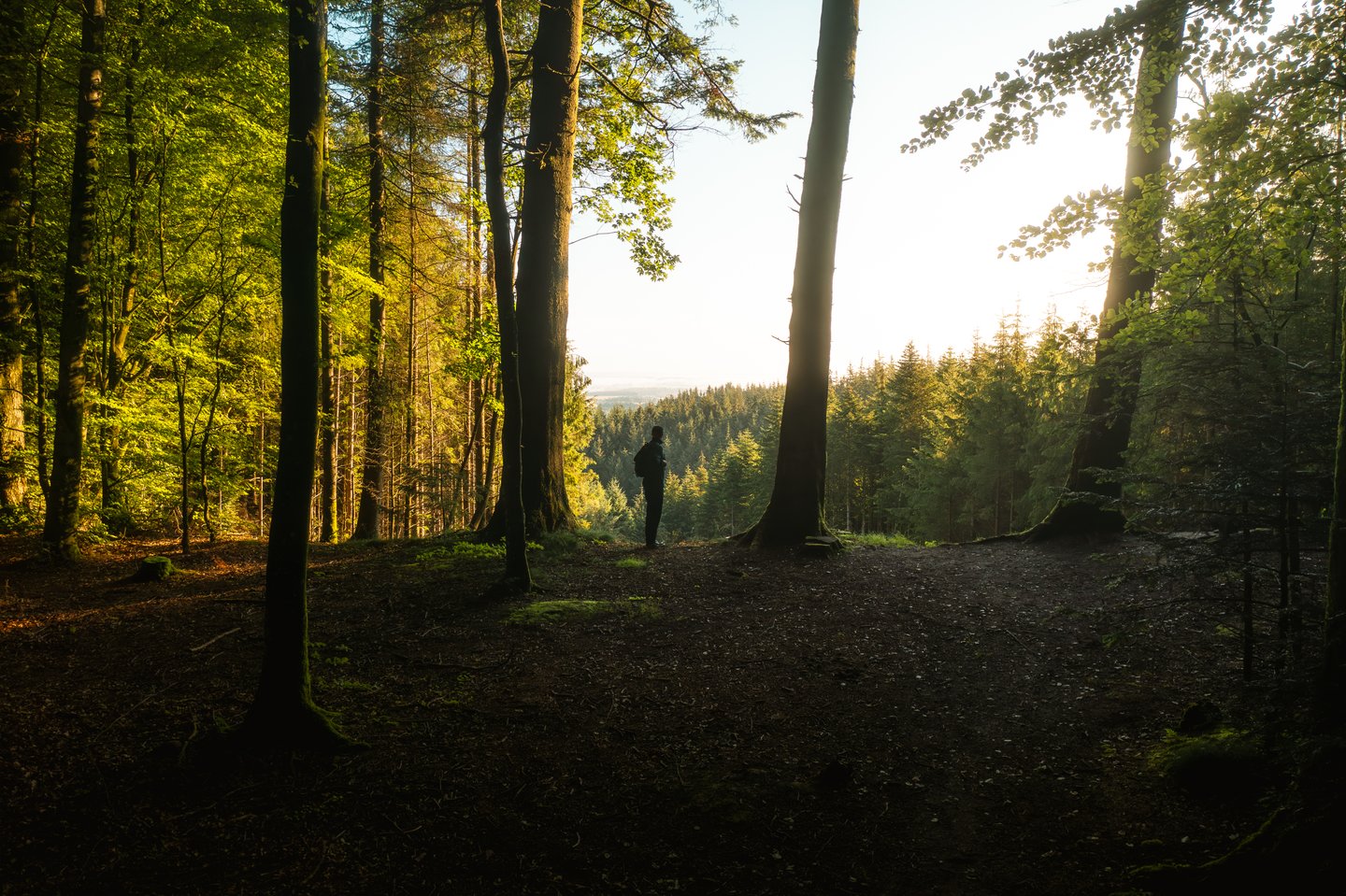 Wandern in Nordjütland, Dänemark