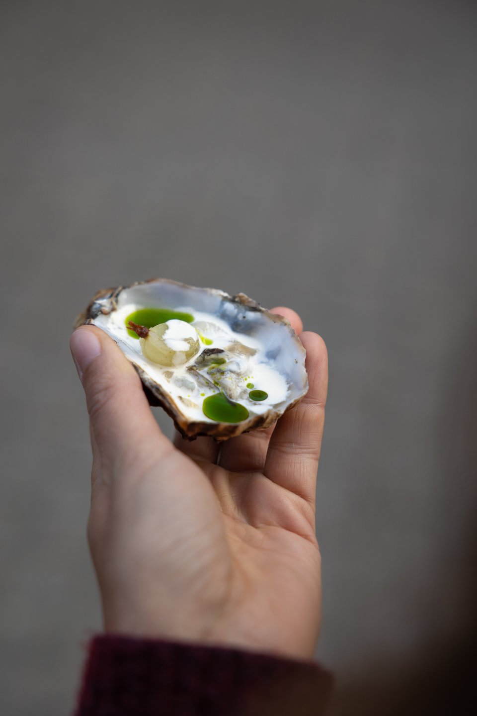 Iemand houdt een verse oester vast op Tønder, in Denemarken