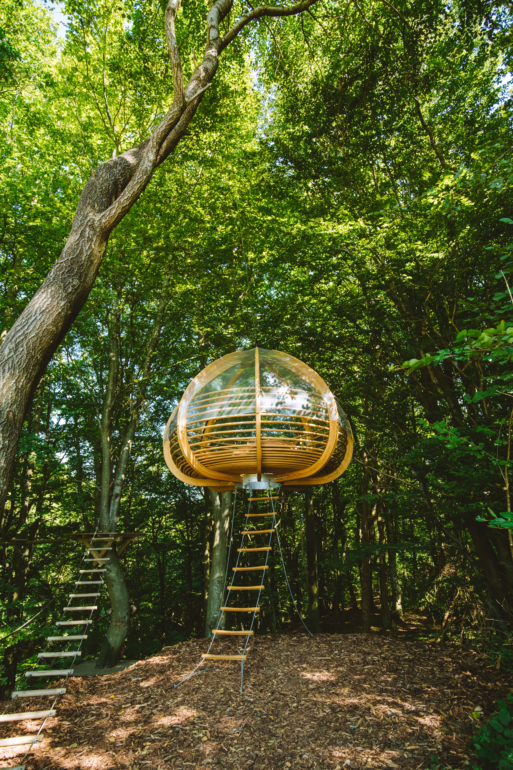 Ein Bild von Reden, The Nest im Kletterpark Highpark mitten im Wald