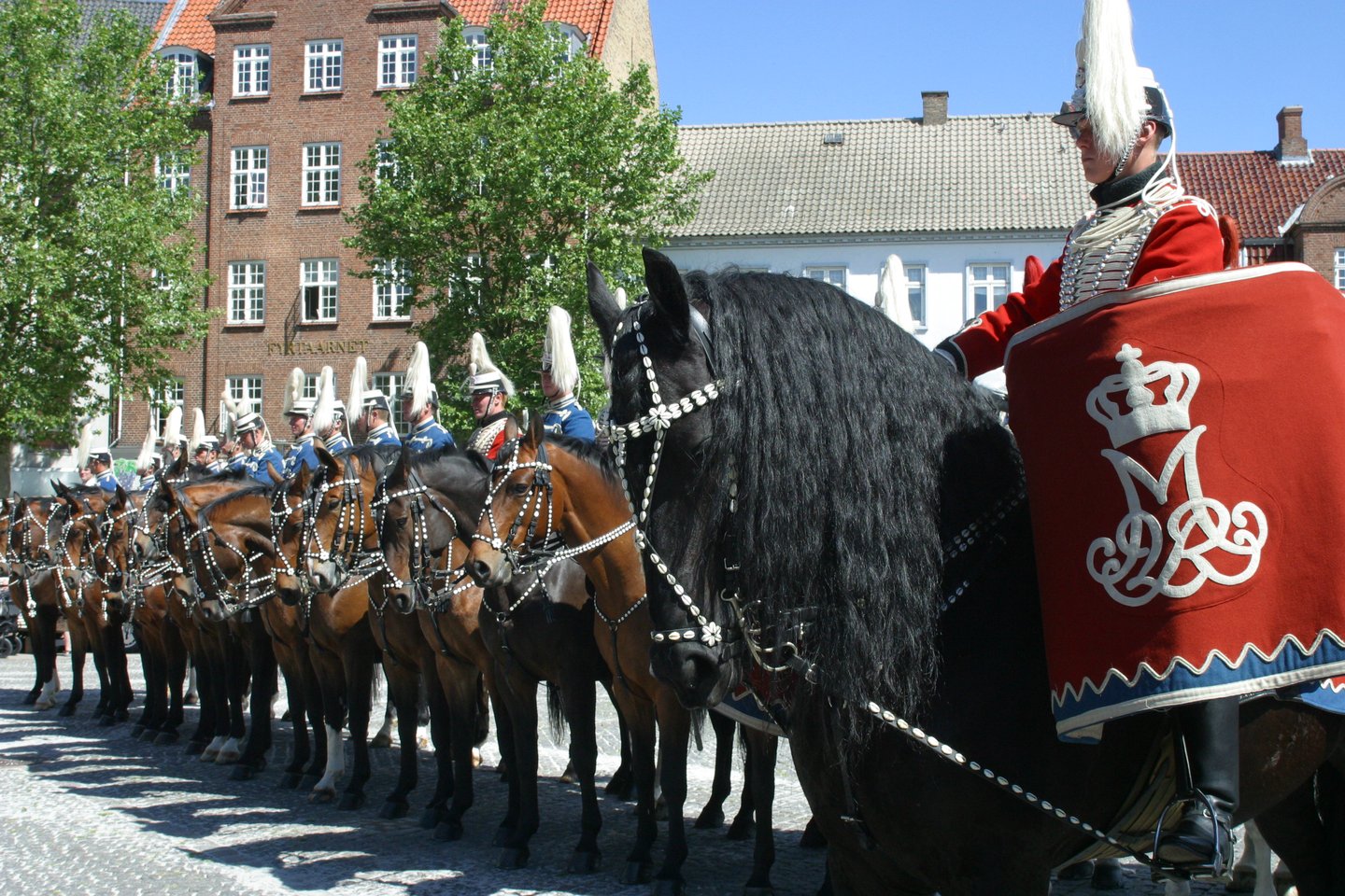 Training van de koninklijke wacht paarden vindt traditiegetrouw plaats in Slagelse, Denemarken