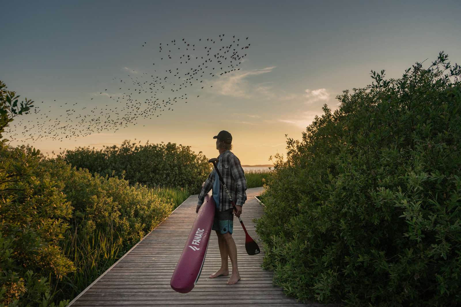 SUP at Vandet Lake in North West Denmark