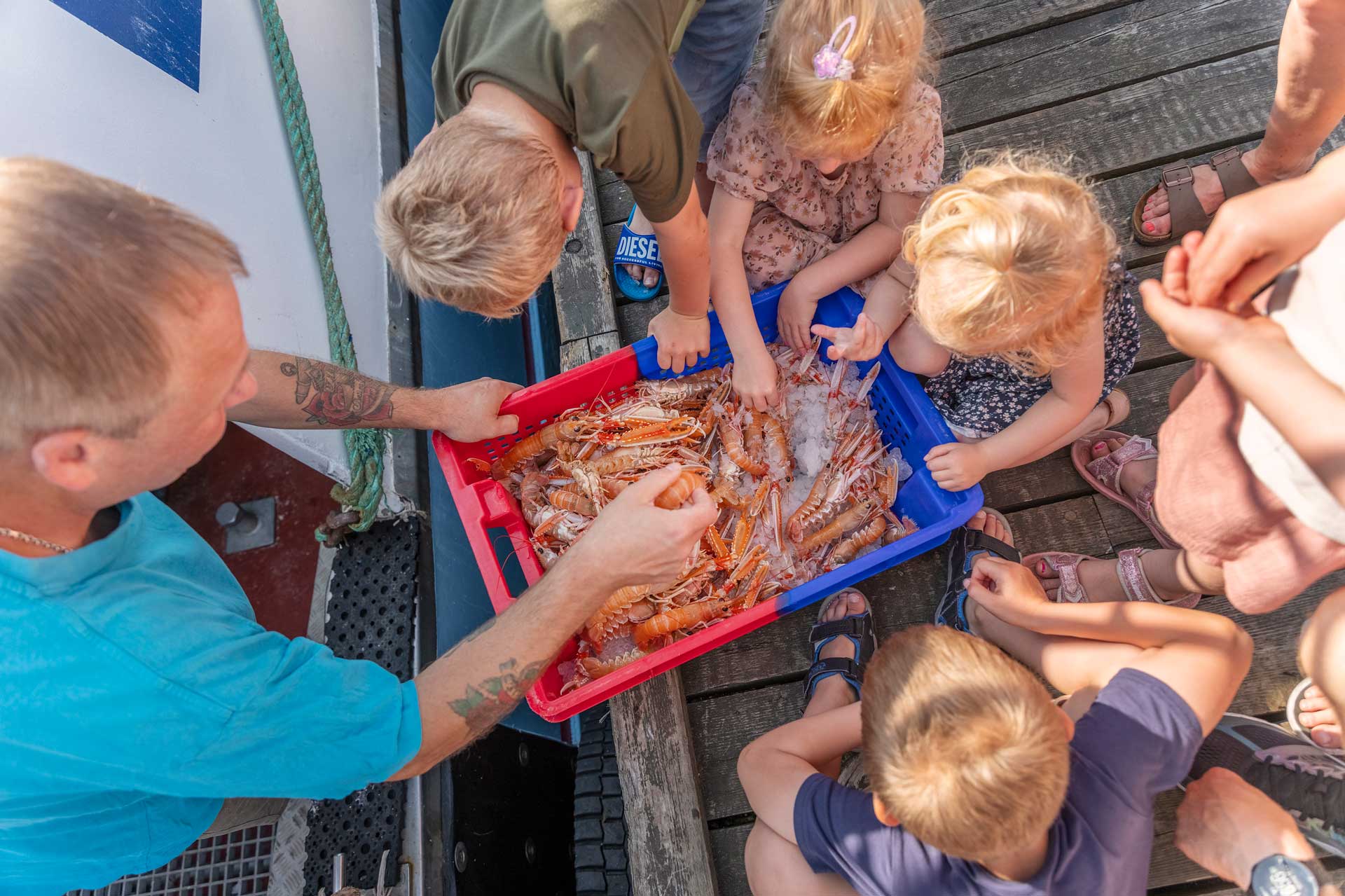 An adult showing lobster to children on Læsø