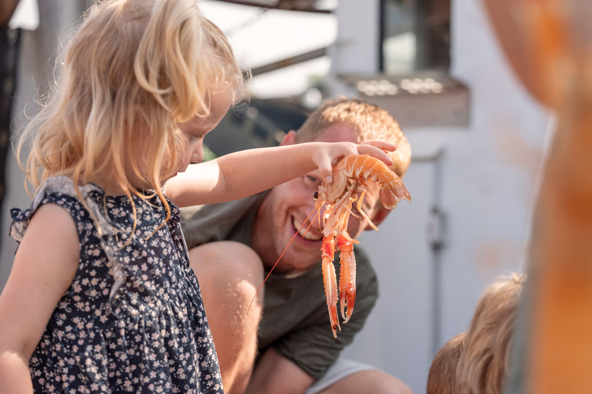 A child holding a lobster on Læsø