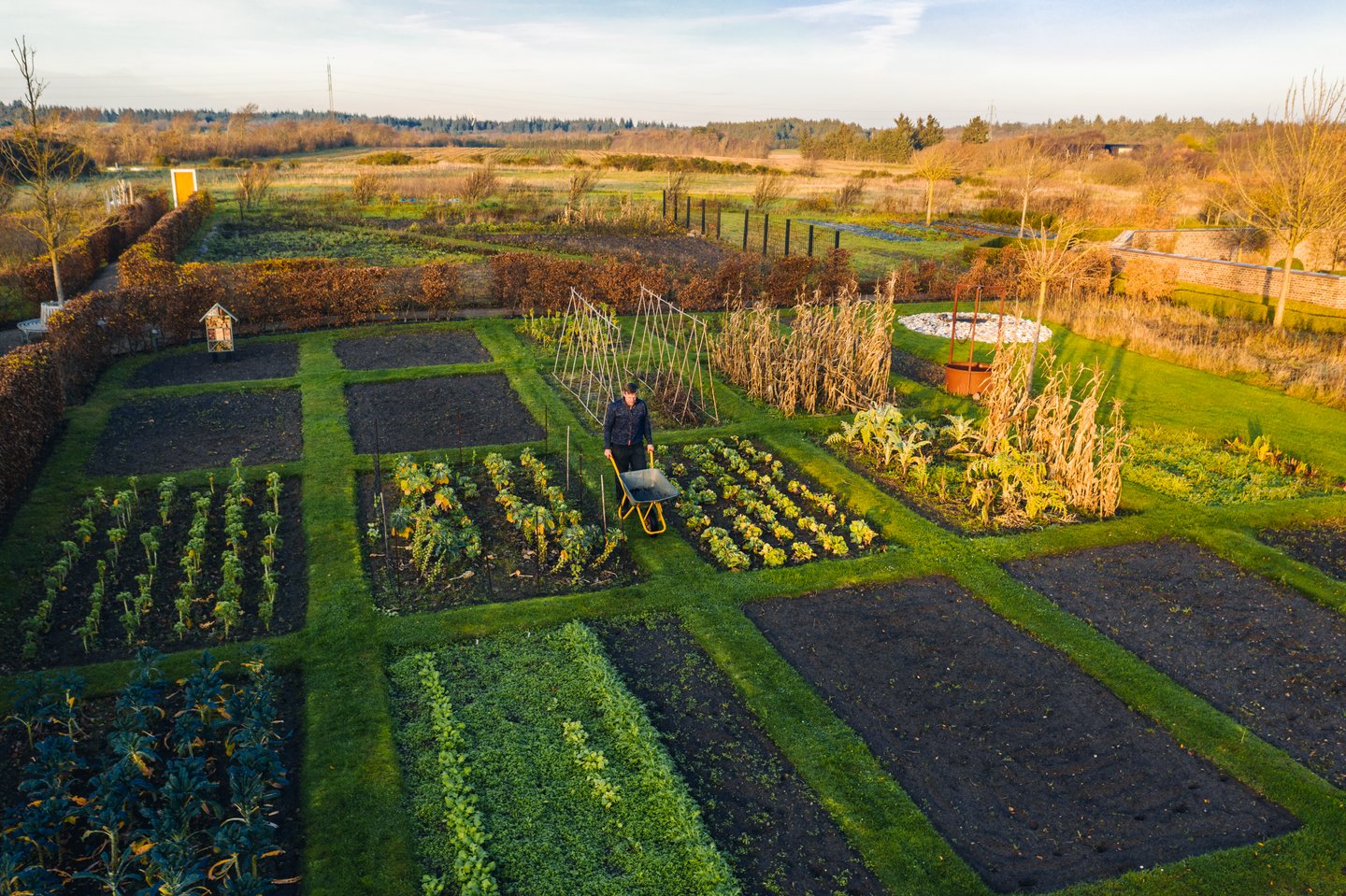 Grønnsakshagen til Henne Kirkeby Kro