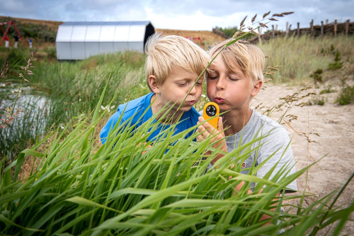 Naturkraft i Ringkøbing