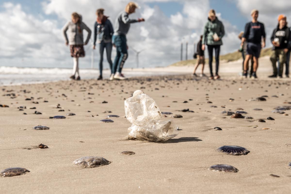 Omhu strandrensing i Hvide Sande i Danmark