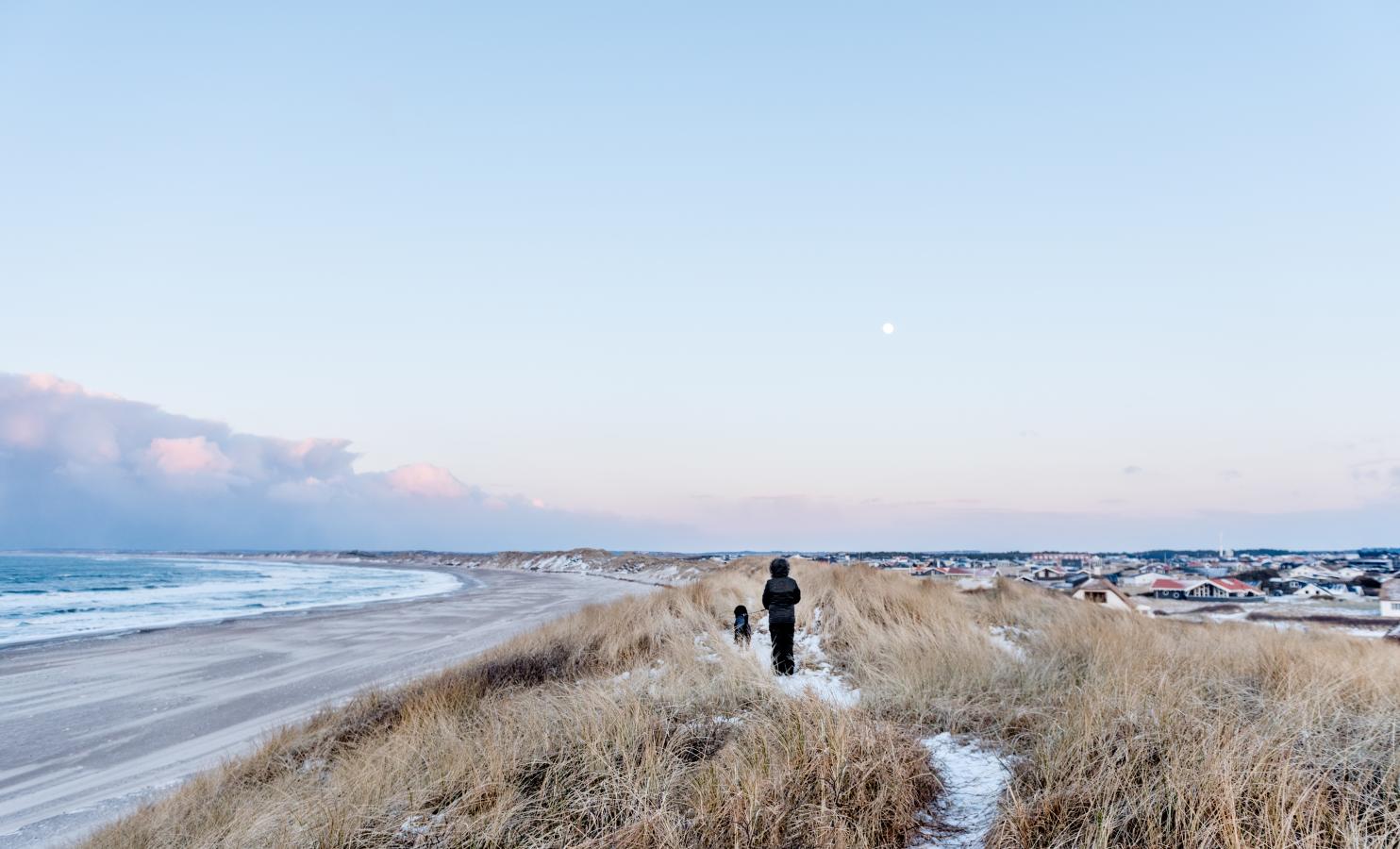 Jente og hund på tur på stranden i Klitmøller i Danmark på vinteren