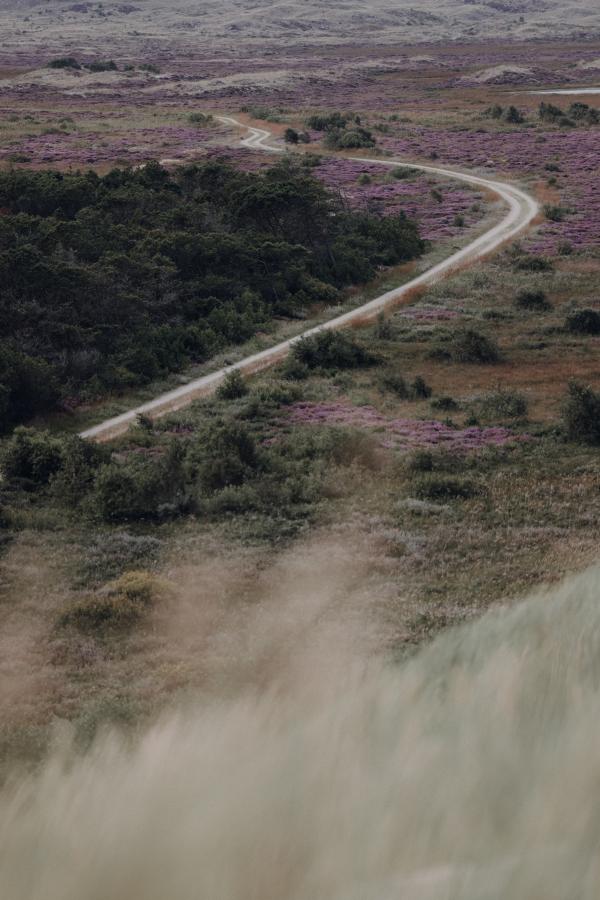 Dunes in Nordjylland