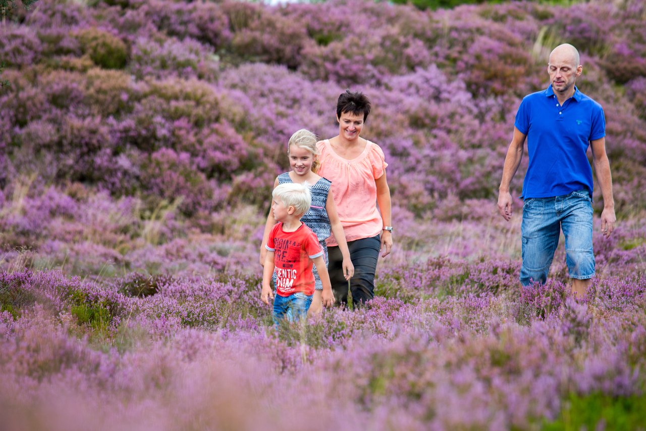 Een familie wandelt door de natuur in de omgeving van Billund