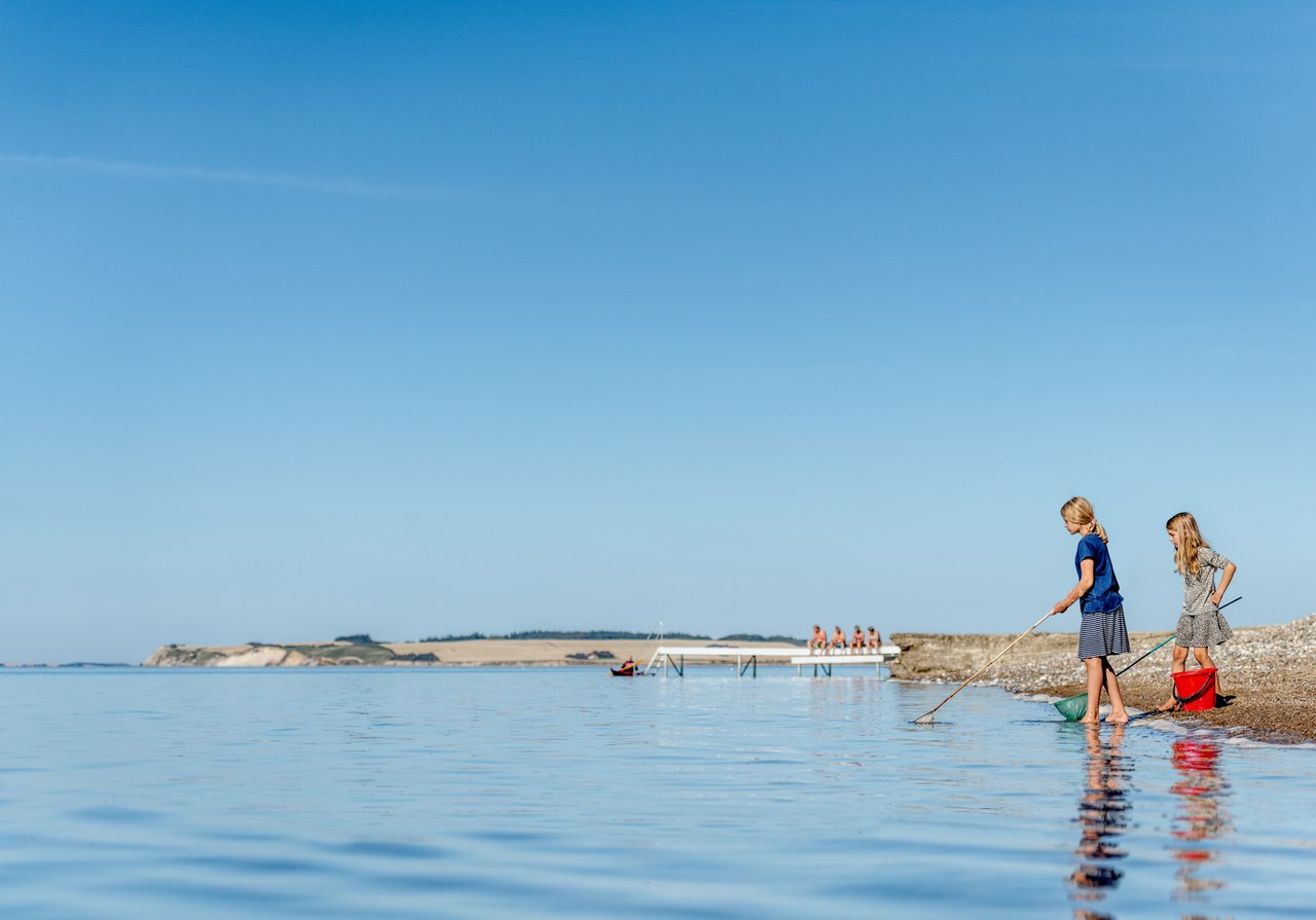 Kinderen proberen krabben te vangen in het Deense Limfjord