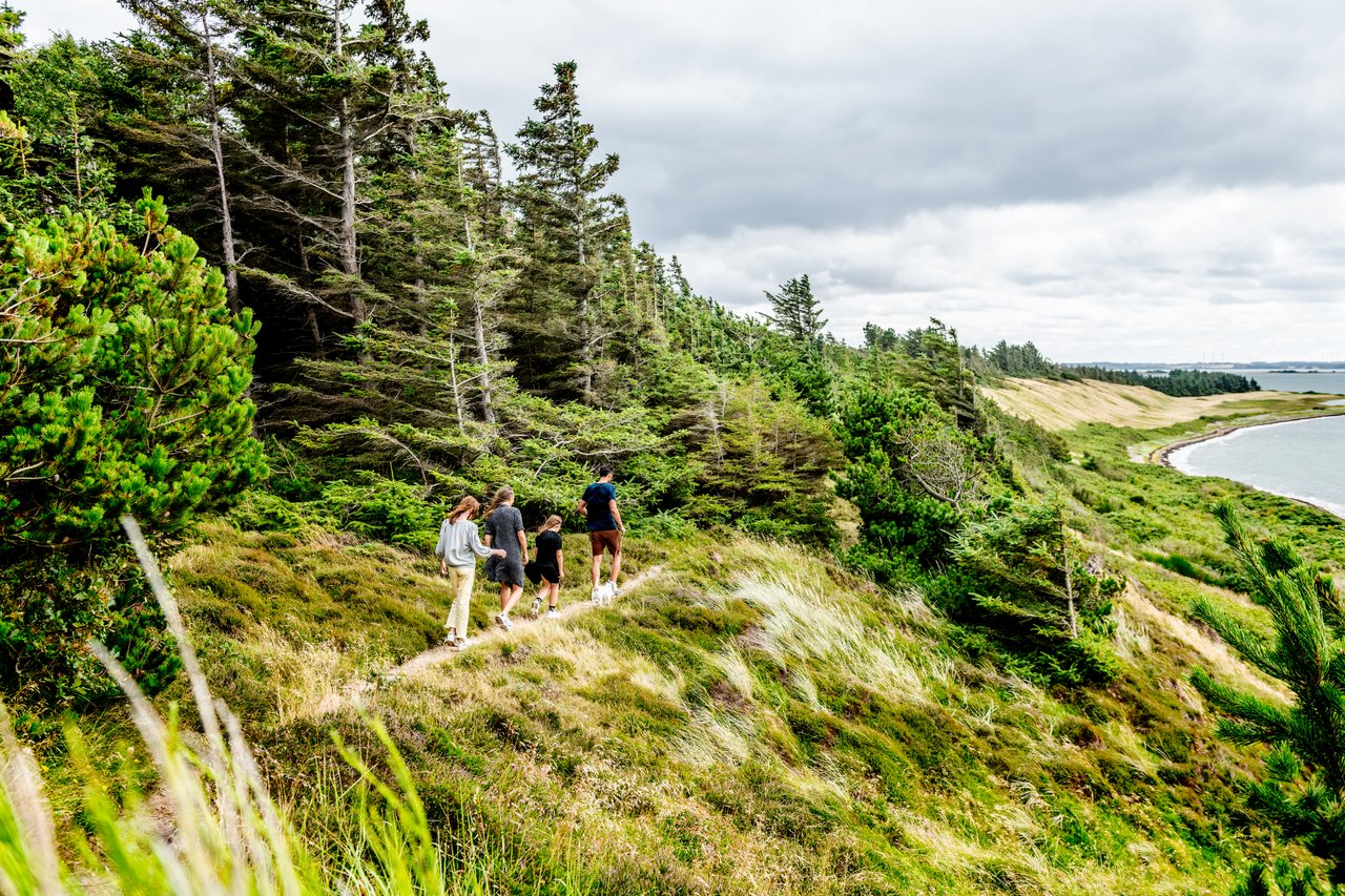 Een familie wandelt over het eiland Livø in het Deense Limfjord