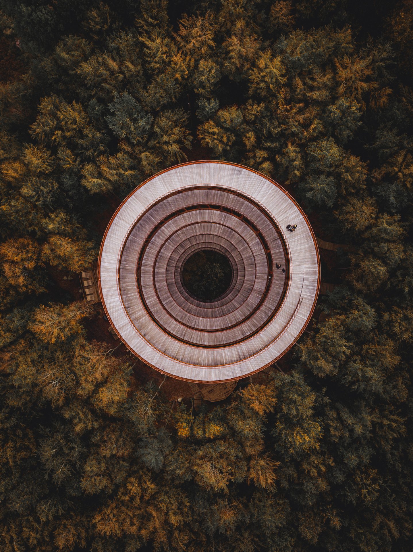 Camp Adventure Treetower in South Zealand