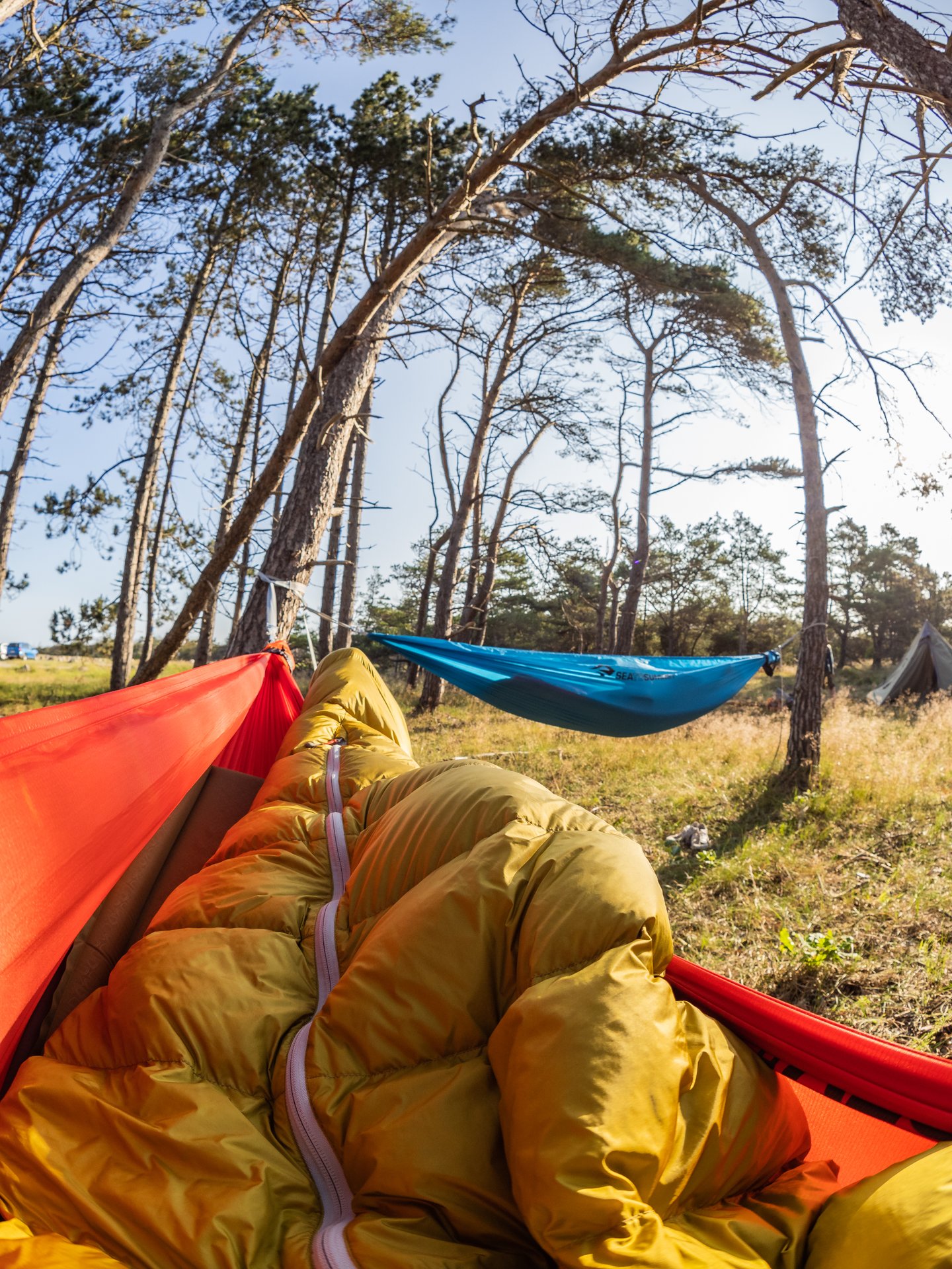 People laying in a hammock near Tisvildeleje 