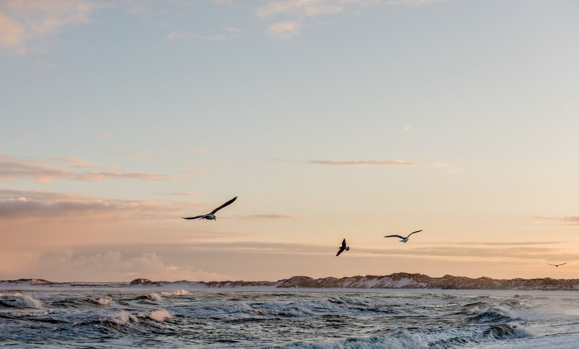 Strand von Klitmøller im Winter