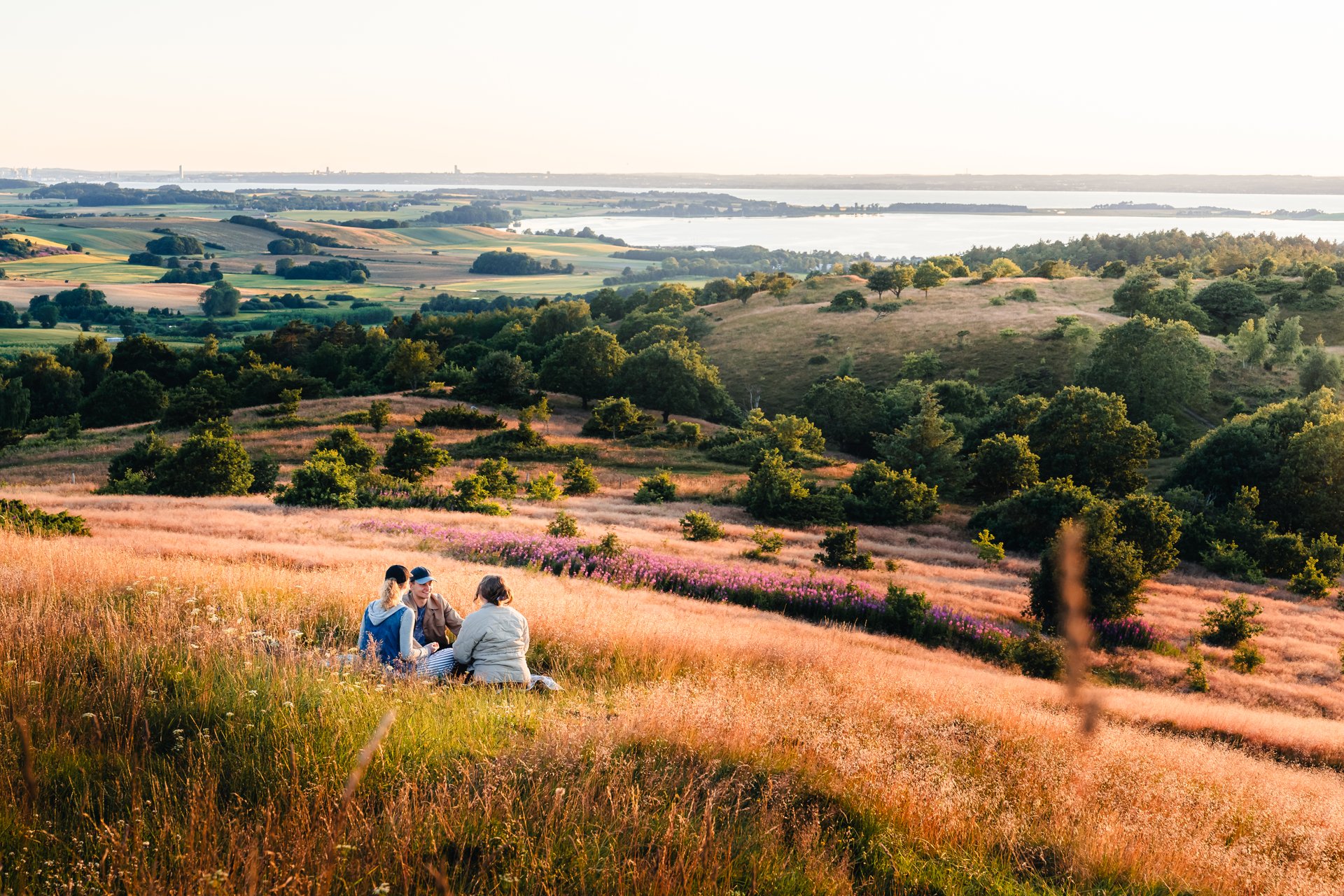 National Park Mols Bjerge in the Aarhus Region, Denmark