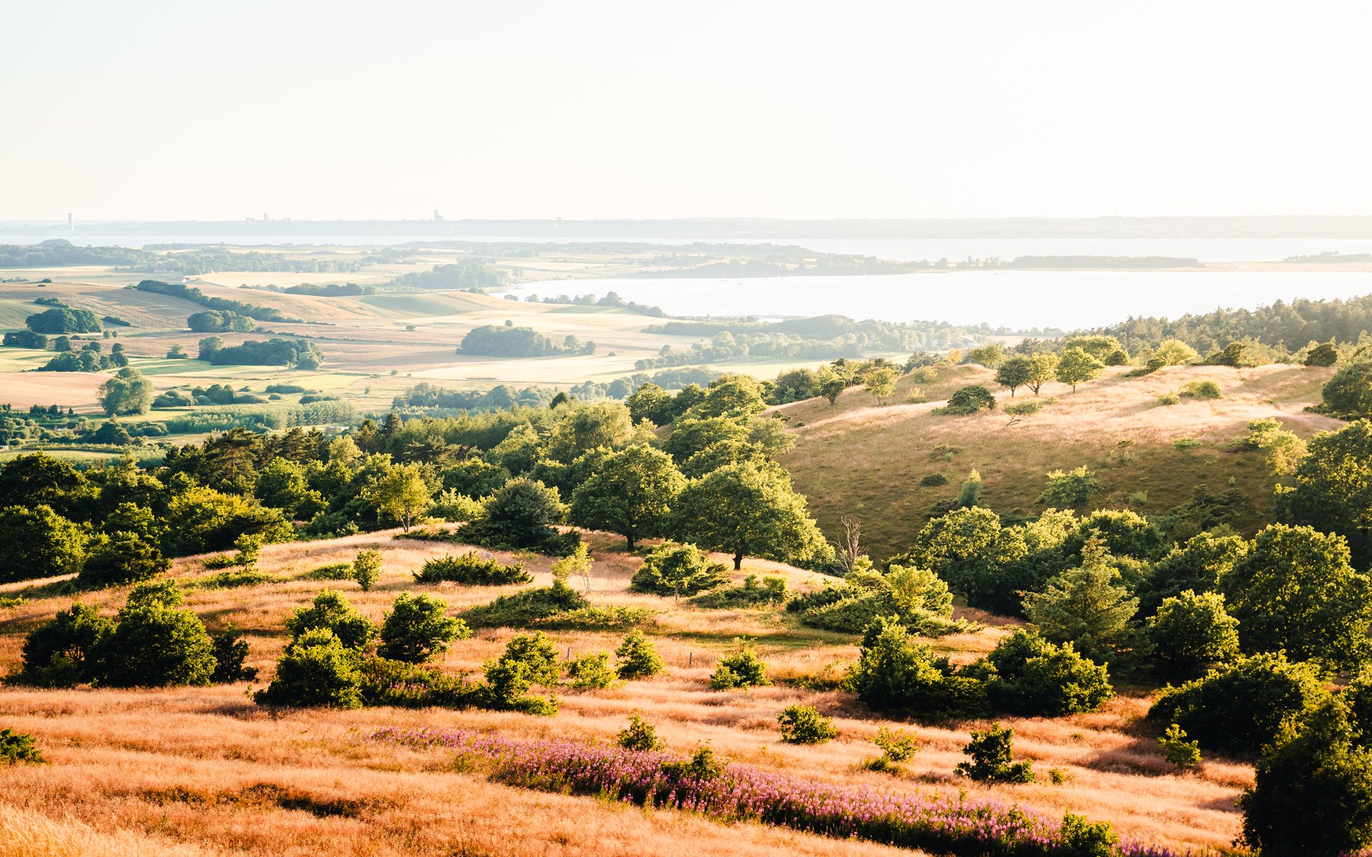 Nationalpark Mols Bjerge
