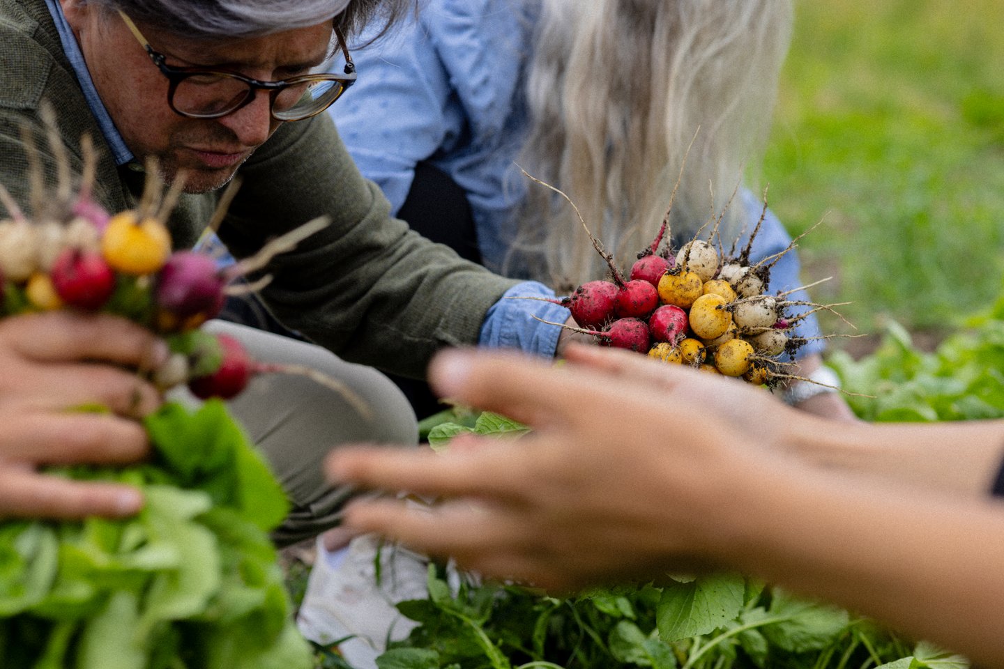 Team building at Godis Grønt