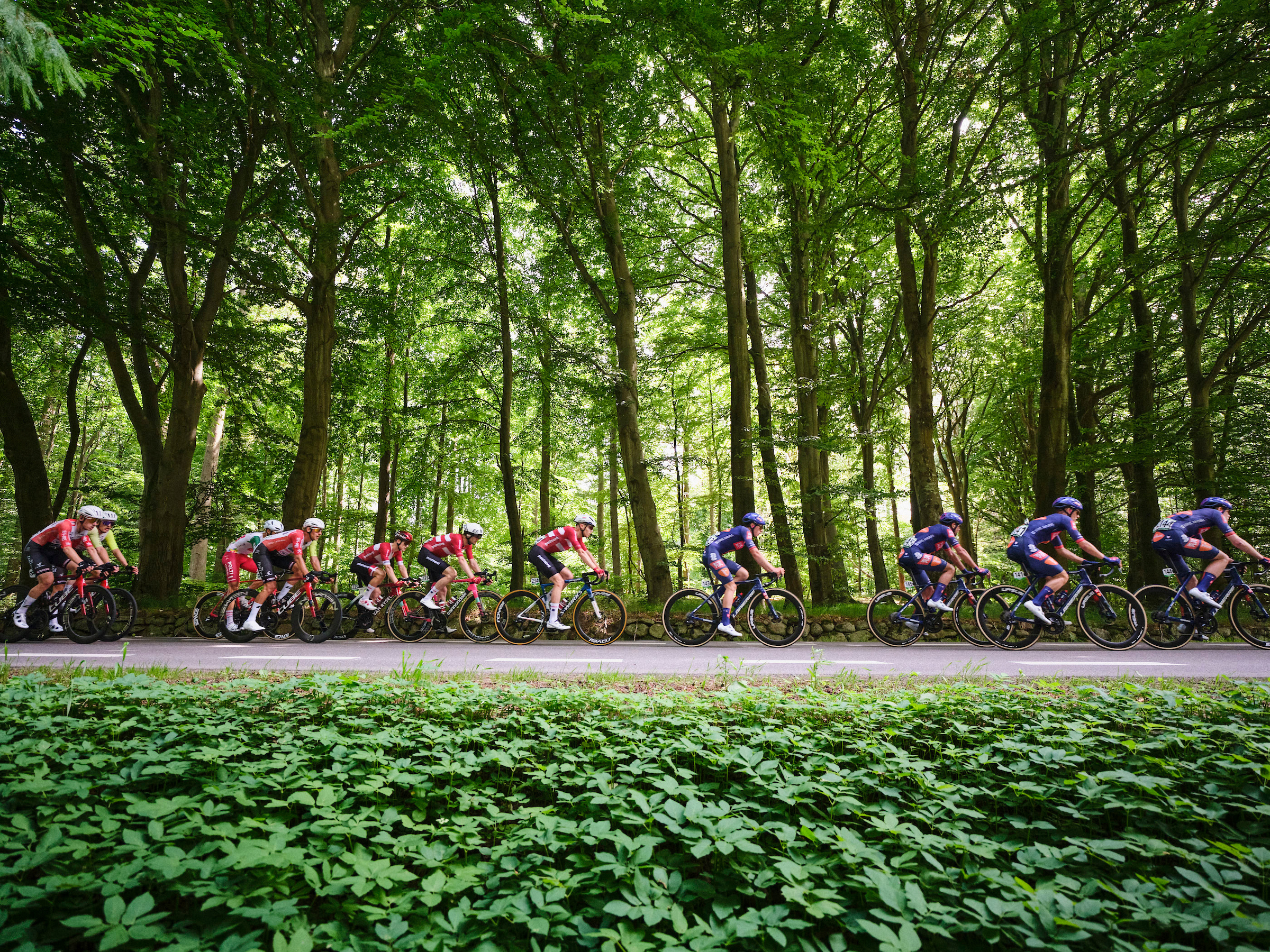 Copenhagen Sprint in Egedal