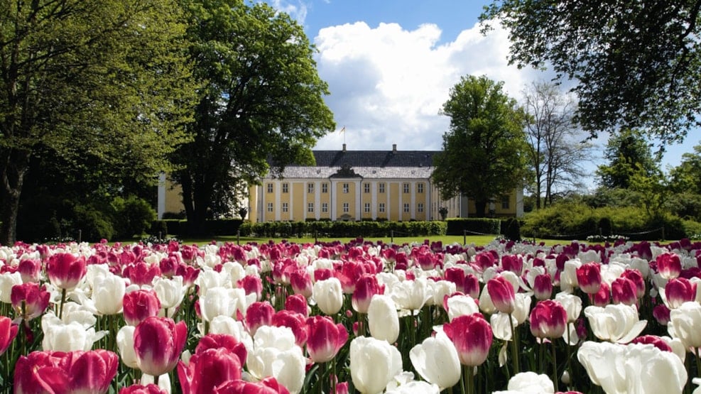 Tulipfestival at Gavnø Castle