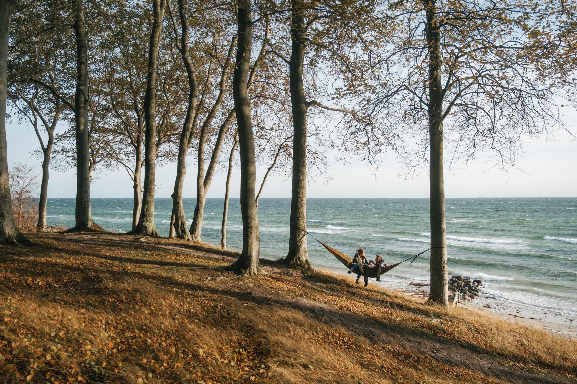 Familie in der Hängematte im Wald auf Fyn