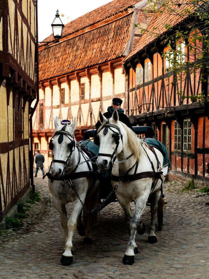 Den Gamle By in Aarhus