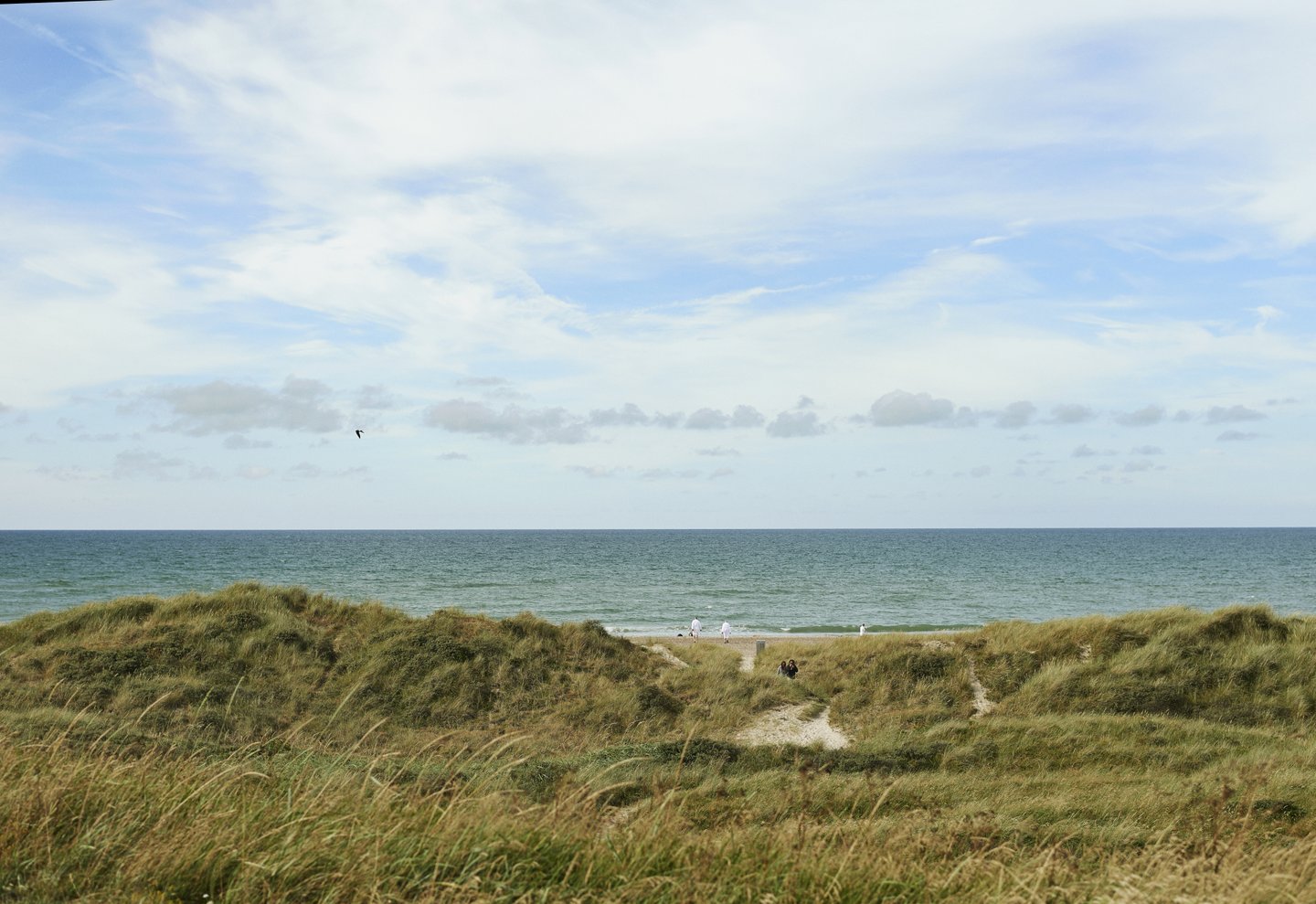 West Jutland