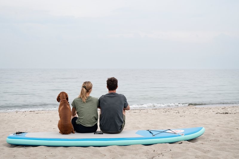 Hund und Paar auf dem Surfbrett in Hesnæs Strand