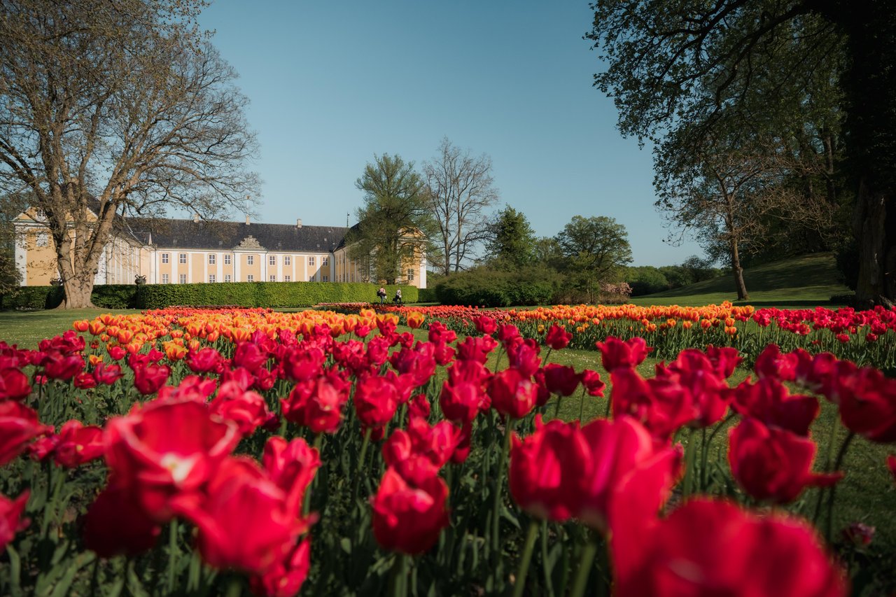 Blumen im Garten von Schloss Gavnø