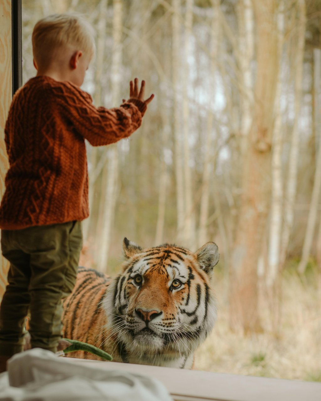Junge vor einem Fenster im Knuthenborg Safaripark