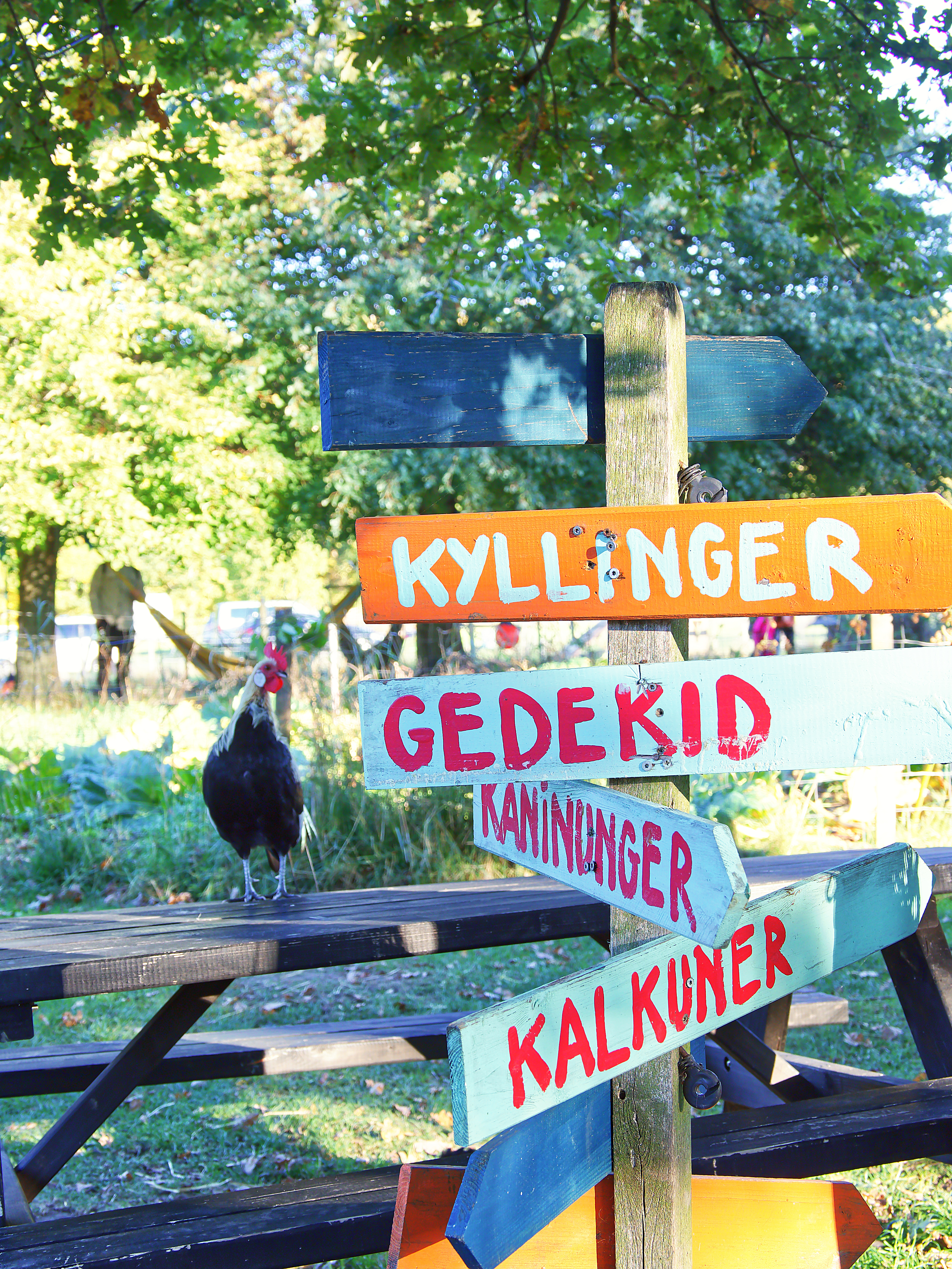 Ein Schild auf dem Tothaven