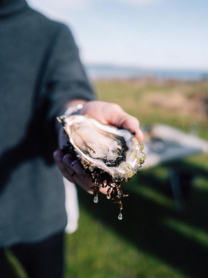 Eine Hand hält eine Auster