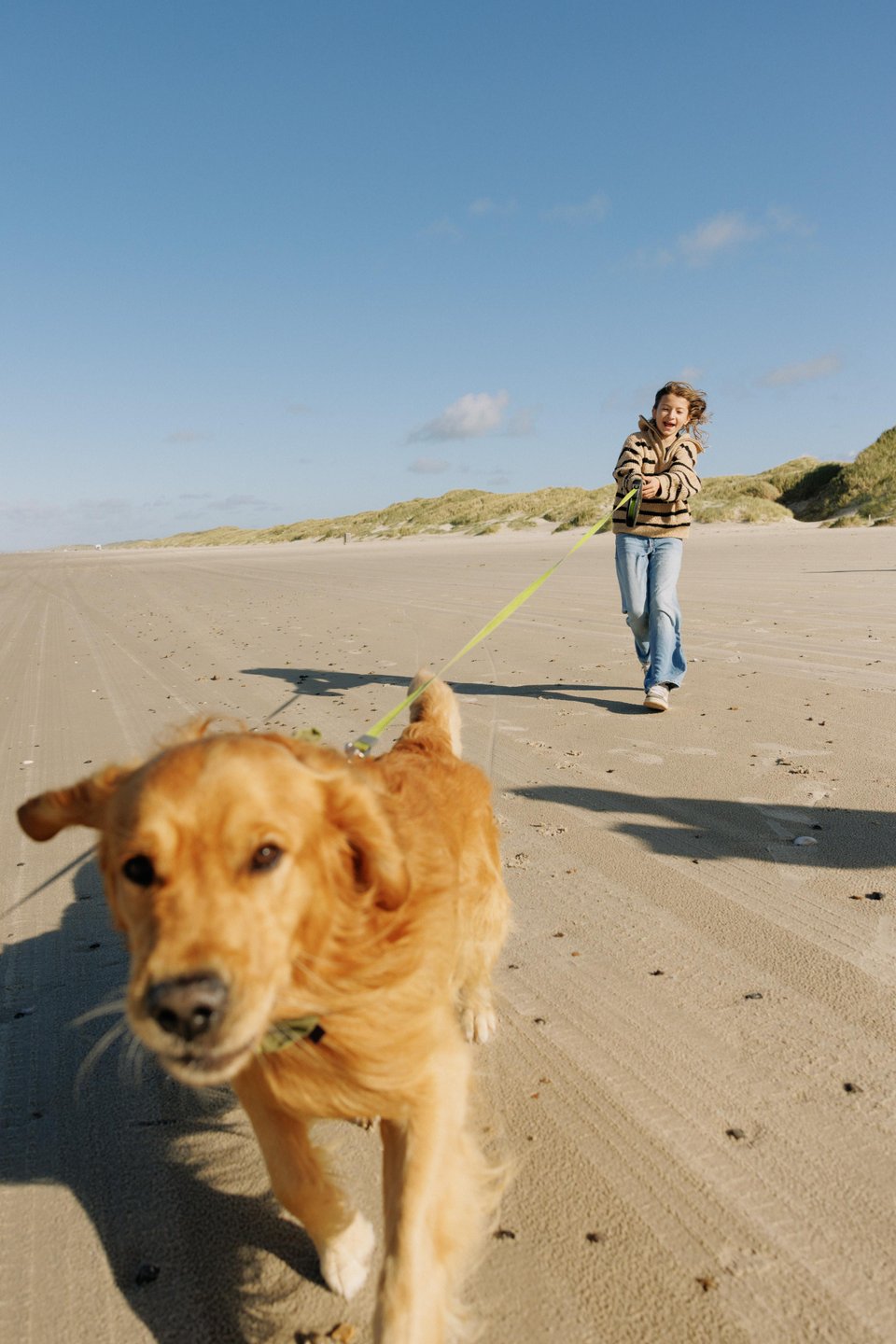 Hond wordt uitgelaten op Saltum strand in Denemarken