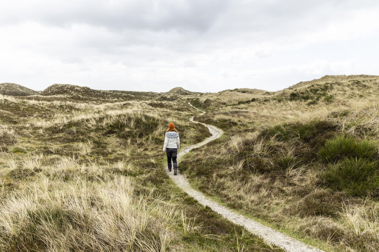 Wanderin in der Dünenlandschaft an der Dänischen Nordseeküste