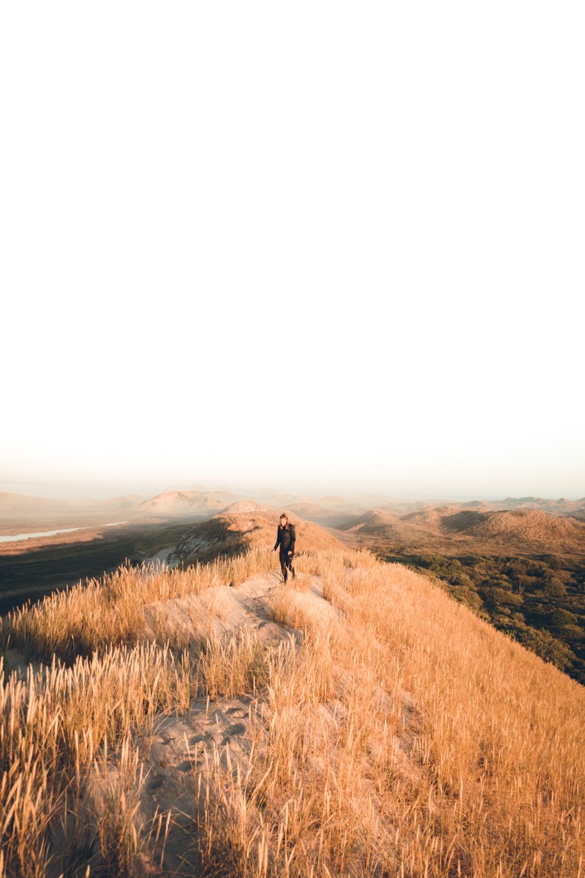 Wandernde bei Råbjerg Mile in Nortjütland