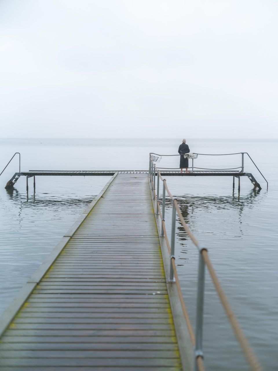 Winterbaderin in Humlebæk