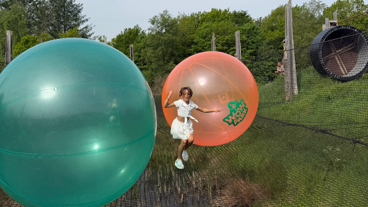 Patricia wow park boll