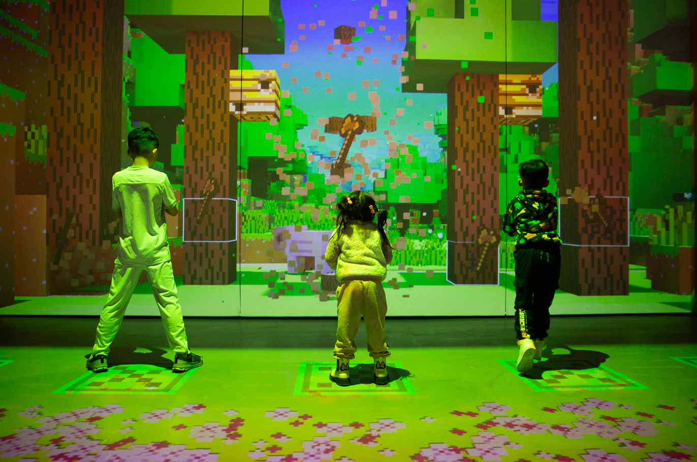 Minecraft Experience
