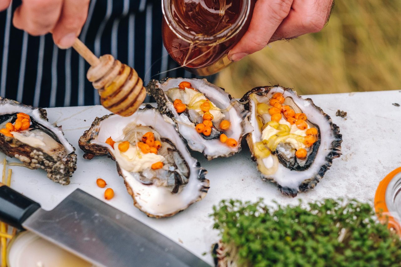 Oesters uit de Deense Waddenzee